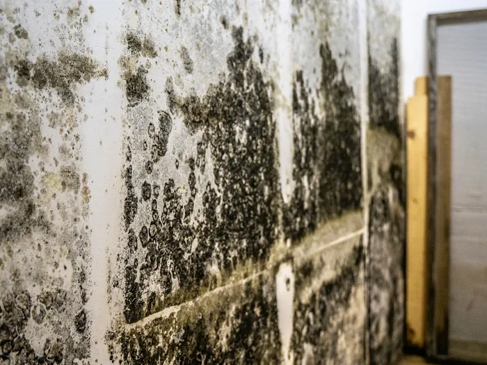 Quality Mold Solutions, LLC. Picture 2