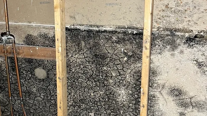 Quality Mold Solutions, LLC. Picture 1