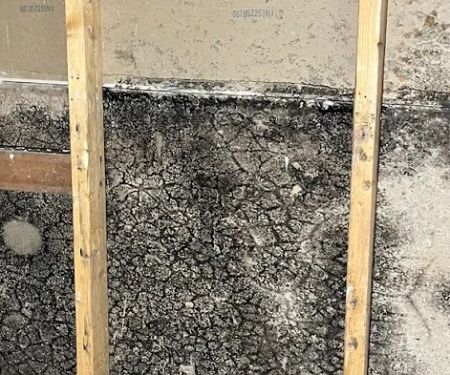 Quality Mold Solutions, LLC.