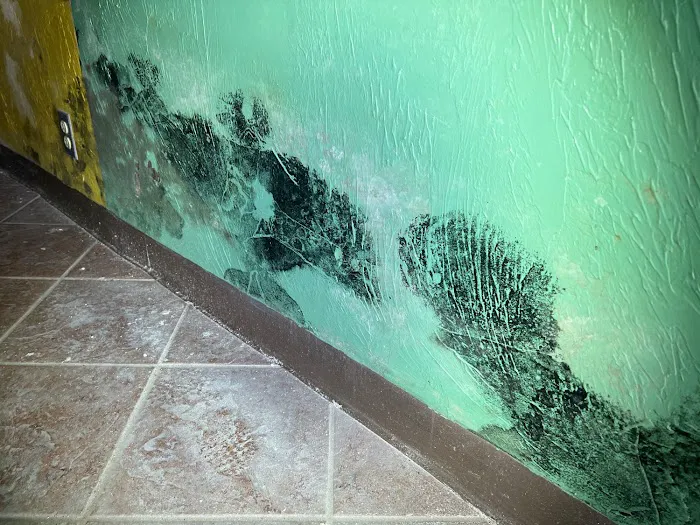 Quality Mold Solutions, LLC. Picture 8