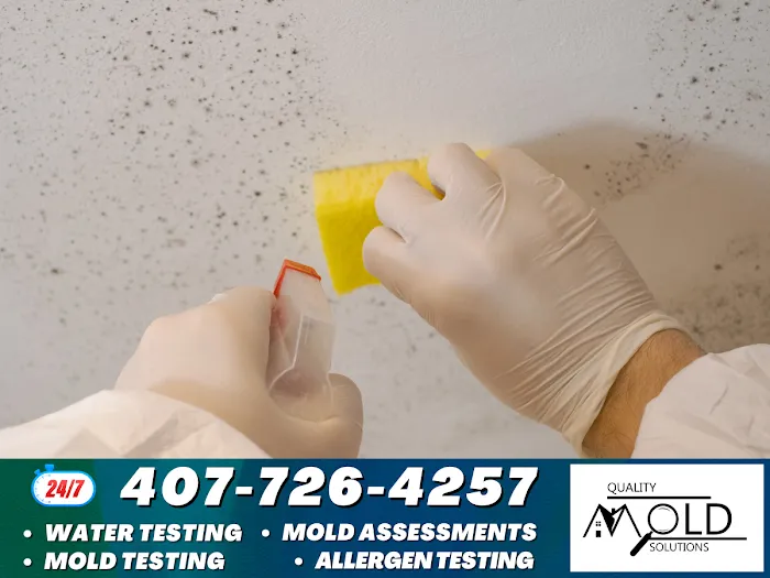 Quality Mold Solutions, LLC. Picture 7