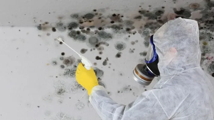 Premium Water Restoriation Picture 2