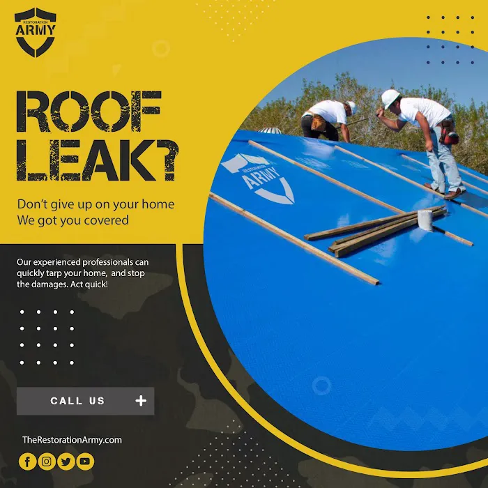 Restoration Army Picture 5