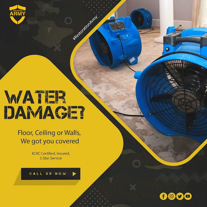 Restoration Army Picture 6