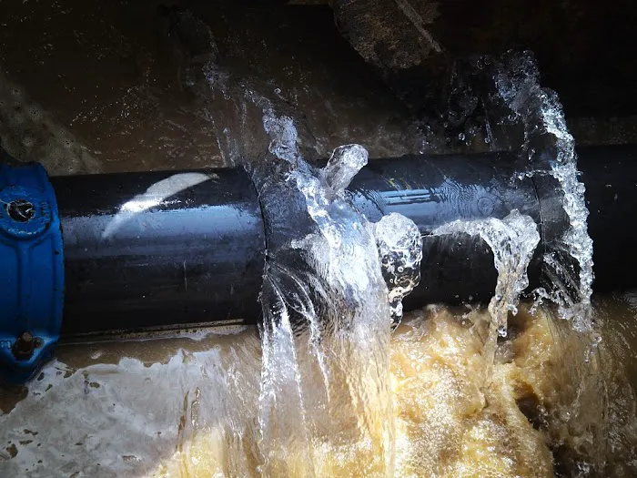 Sureserv Water restoration Picture 5