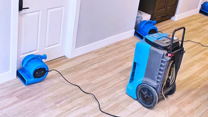 Sureserv Water restoration Picture 2