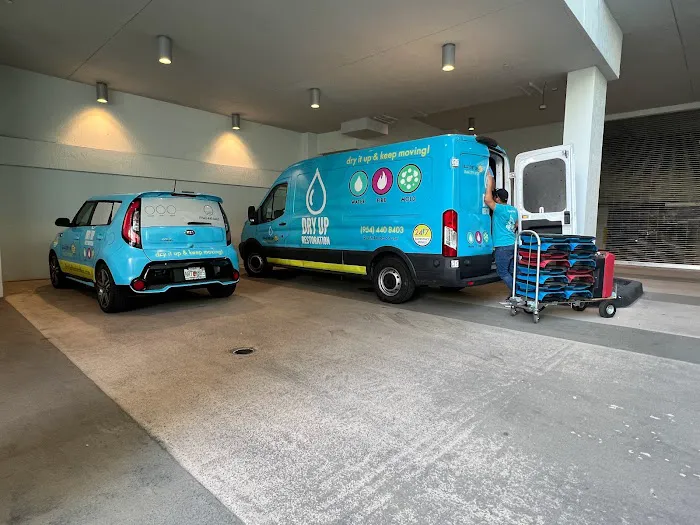 Dry Up Restoration Picture 3