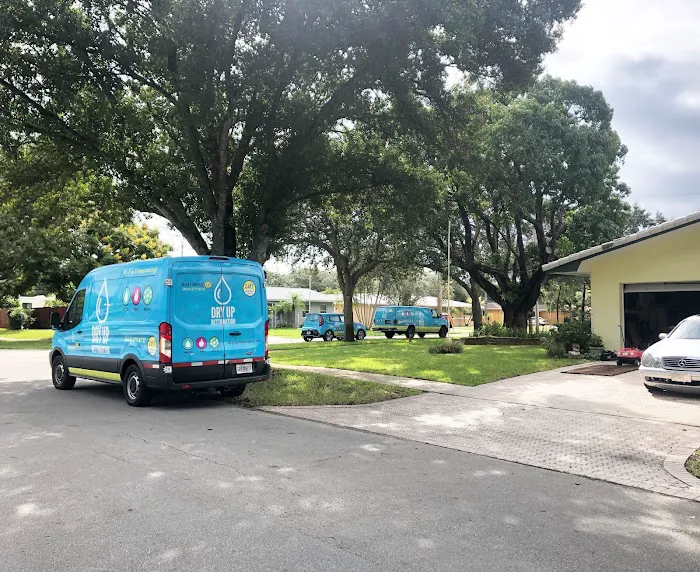 Dry Up Restoration Picture 4