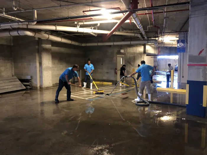 Dry Up Restoration Picture 7