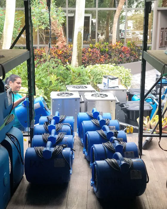 Dry Up Restoration Picture 9