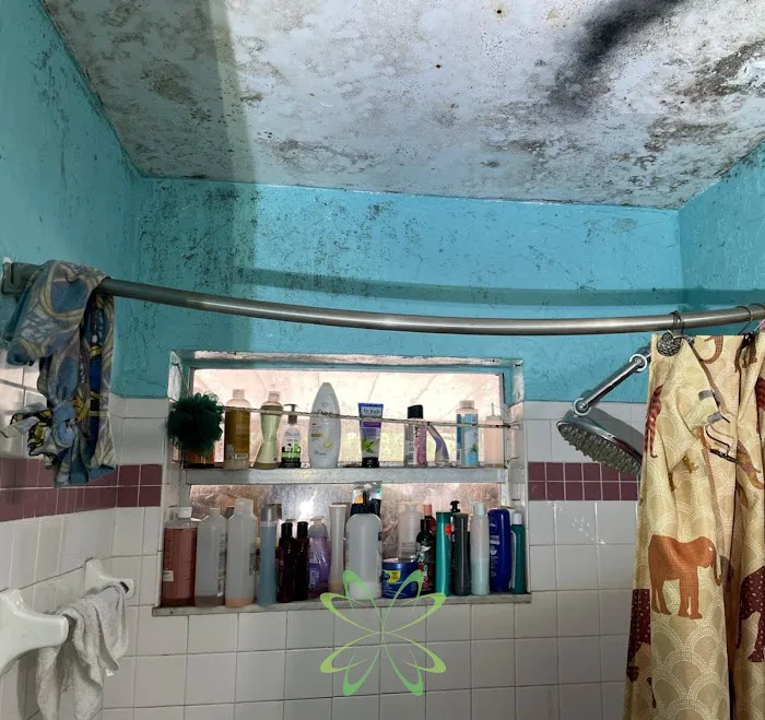 Elite Mold Services Picture 8