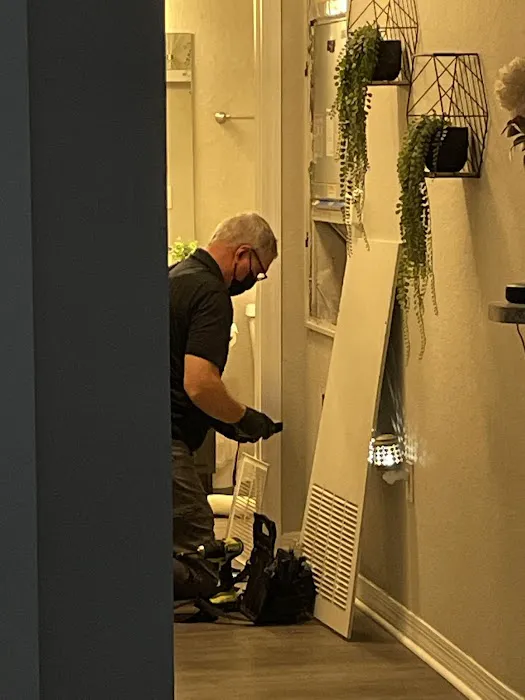 Elite Mold Services Picture 1