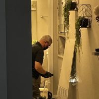 Elite Mold Services ico