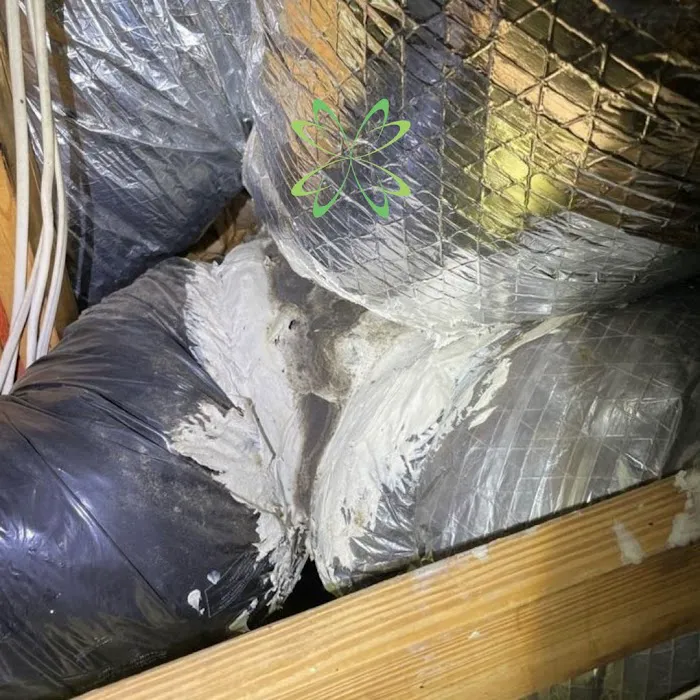 Elite Mold Services Picture 10