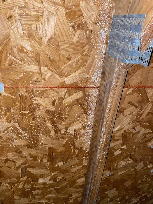 Elite Mold Services Picture 4