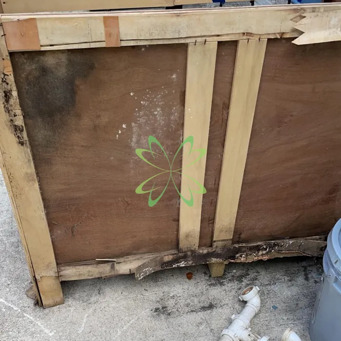 Elite Mold Services Picture 7