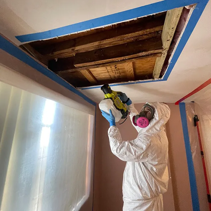 Verum Services - Restoration Services in Orlando, Florida Picture 5