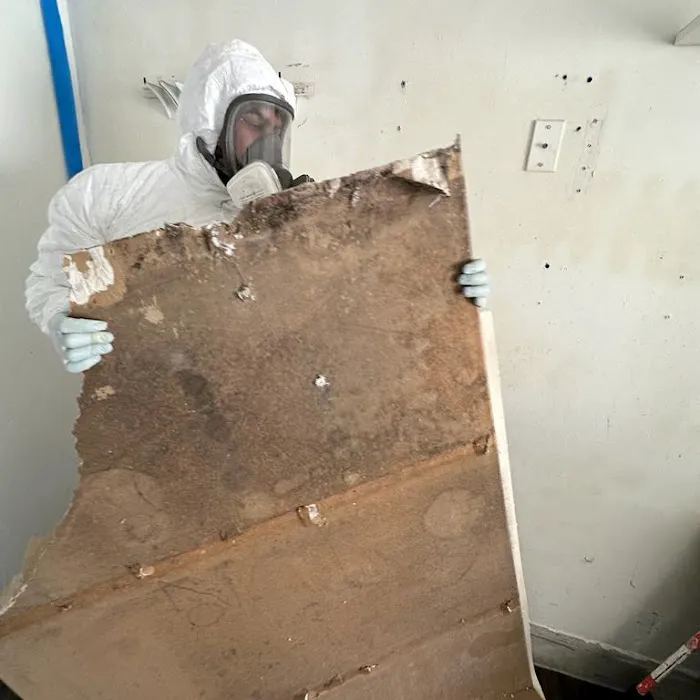 Verum Services - Restoration Services in Orlando, Florida Picture 2