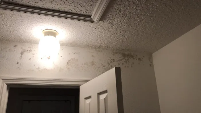 Siccum Group Picture 4