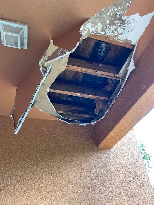 Siccum Group Picture 7