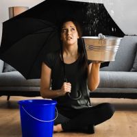 East Coast water Restoration Inc. ico