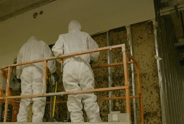 Knight Restoration Services Picture 7