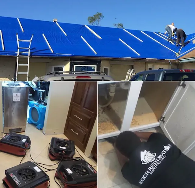 Koch Restoration Picture 3