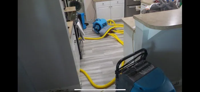 Koch Restoration Picture 2