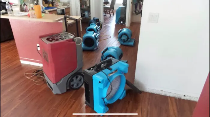 Koch Restoration Picture 7