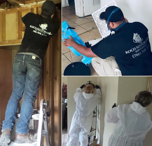 Koch Restoration Picture 5