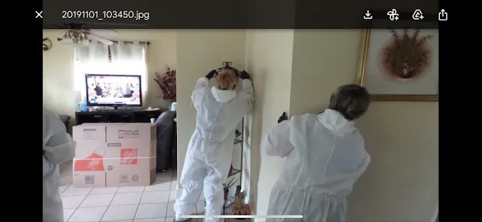 Koch Restoration Picture 8