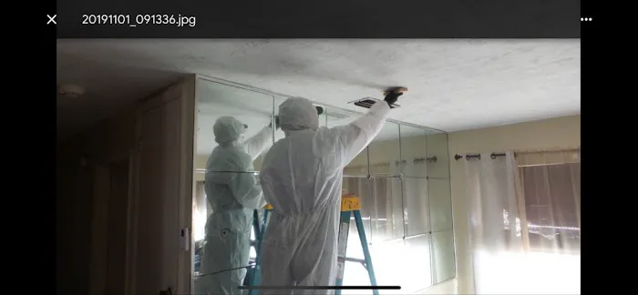 Koch Restoration Picture 1