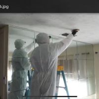 Koch Restoration ico