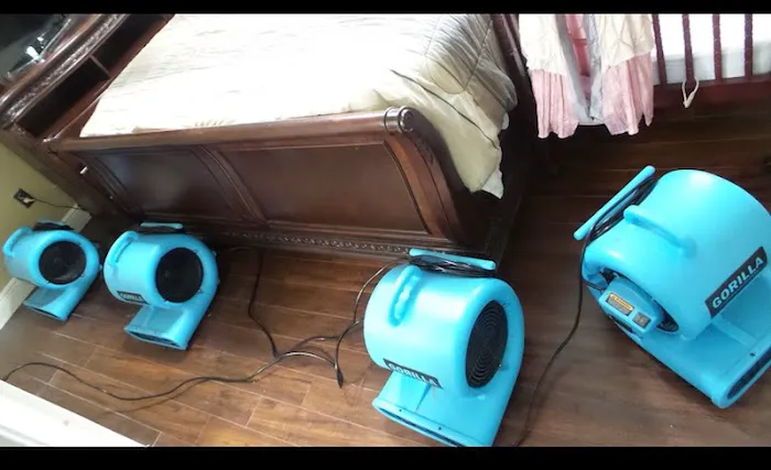 Koch Restoration Picture 4