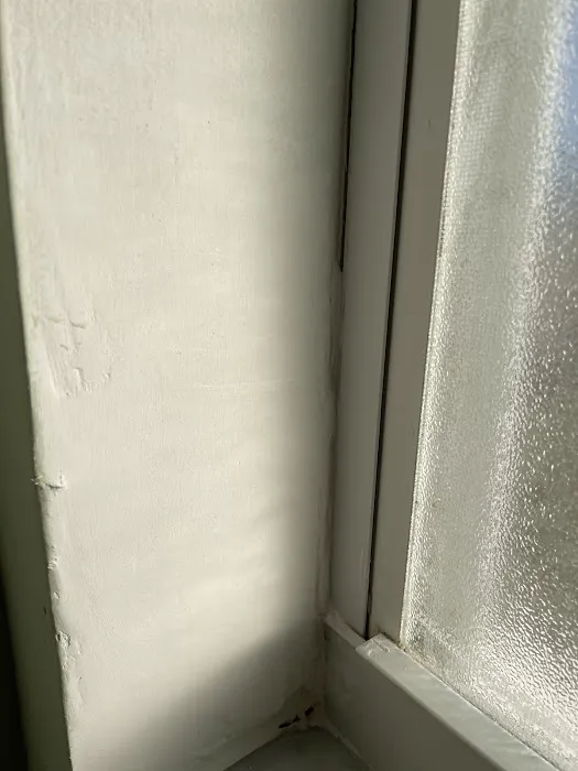 Specialists Picture 2