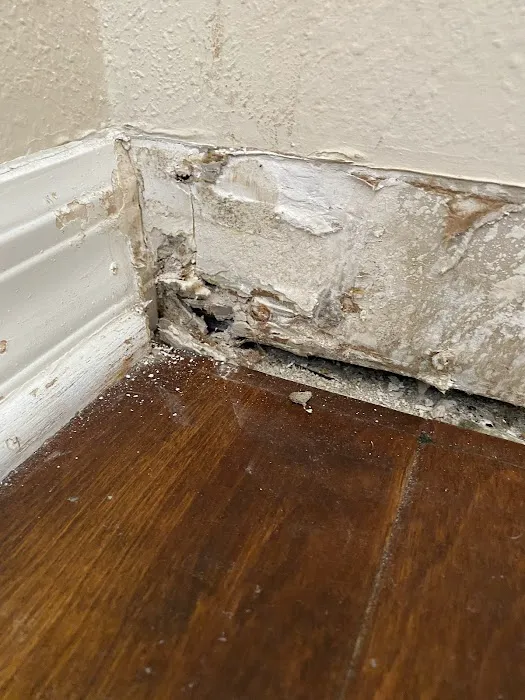 Specialists Picture 3