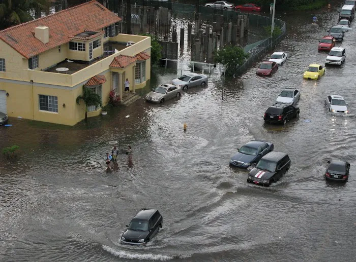 Lakeside LLC Picture 6