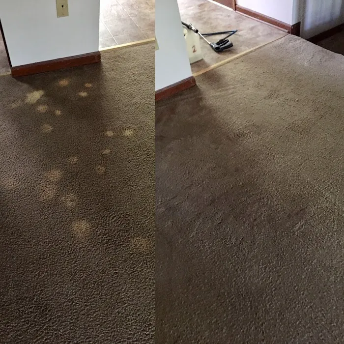 Steam Master Carpet Cleaning, Water and Fire Picture 8