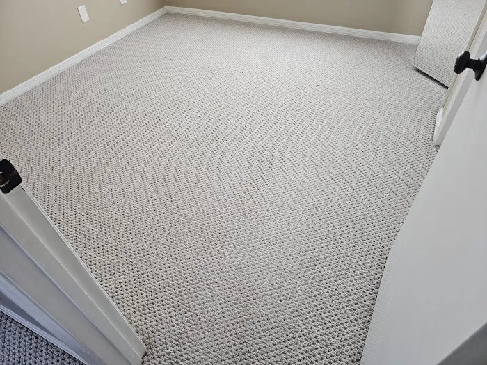 Steam Pro Cleaning Picture 5