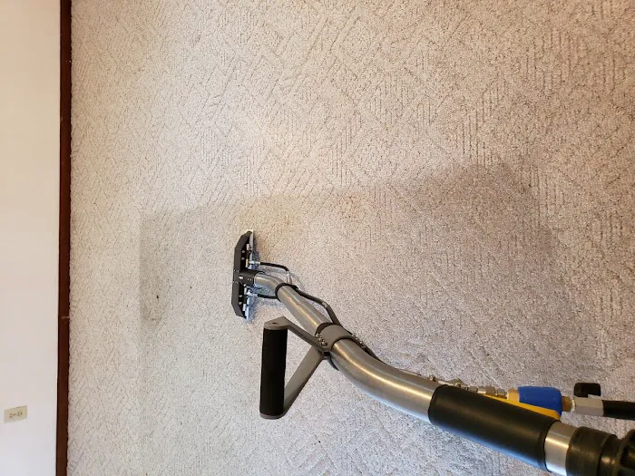 Steam Pro Cleaning Picture 8