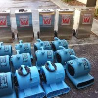 Steam Pro Cleaning ico