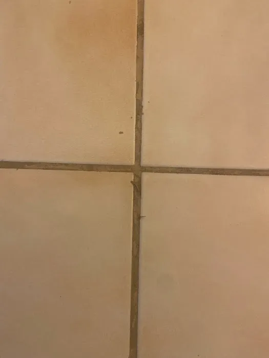 Stanley Steemer Picture 1