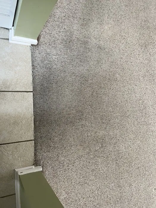 Stanley Steemer Picture 9