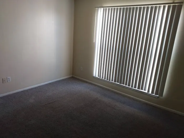 Stanley Steemer Picture 5