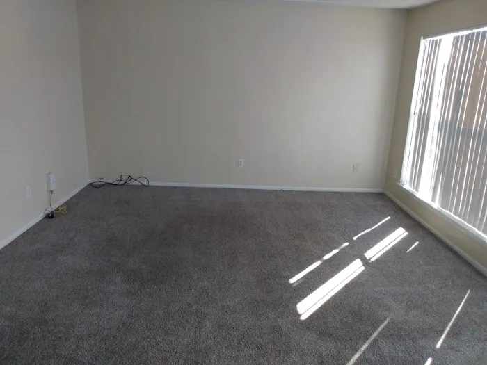 Stanley Steemer Picture 8