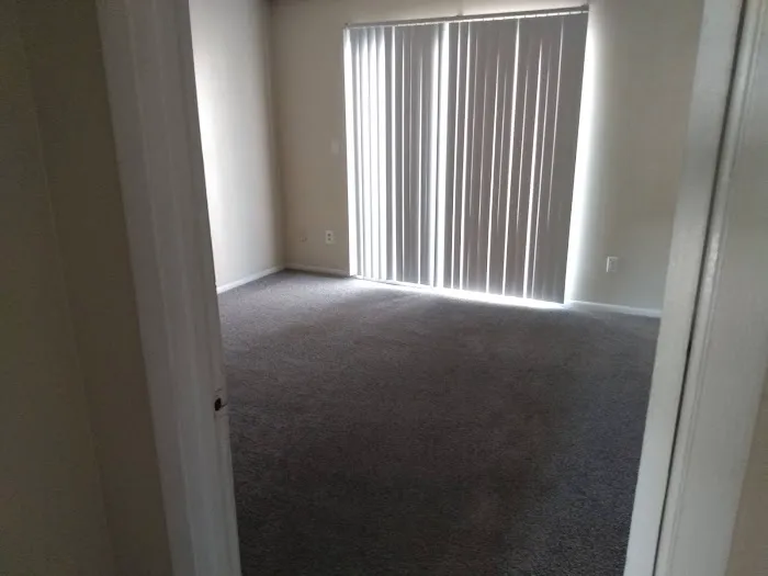 Stanley Steemer Picture 4