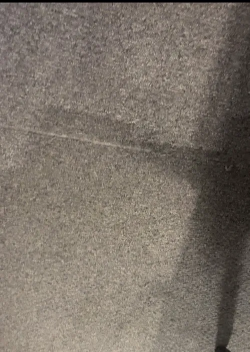 Stanley Steemer Picture 7