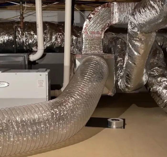 Catstorng Mold Inspection Palm Coast Picture 1