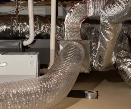 Catstorng Mold Inspection Palm Coast