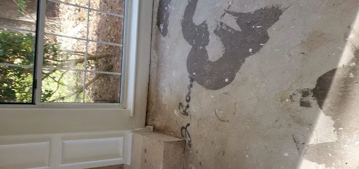 Aftermath Remediation of Florida Picture 4